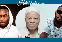 Salif Kéita, Sidiki Diabaté et Arafat Dj, ont fait le show chez le ministre Hamed Bakayoko