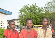 Crime au Nigéria : À quel point cette vie peut-elle être cruelle…